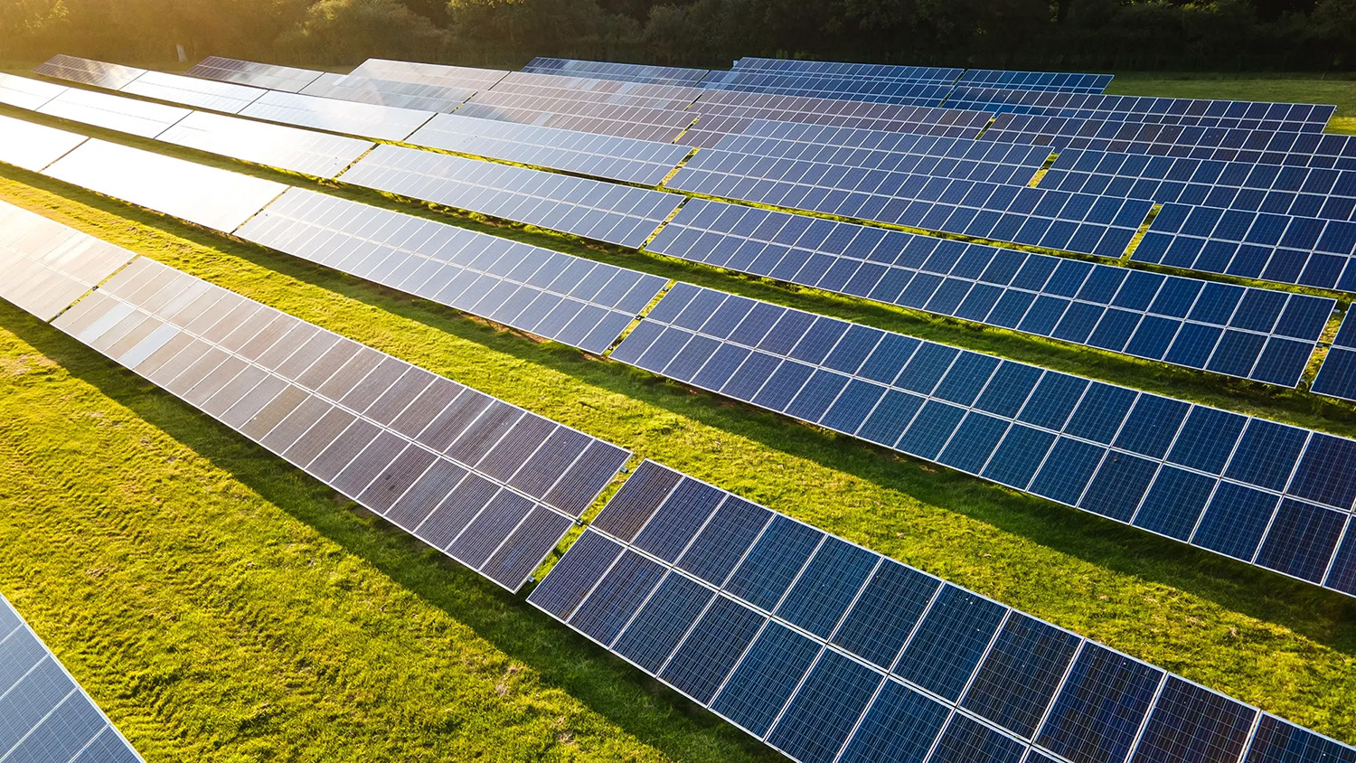 VCU researchers assess land impacts of Virginia’s solar industry — now and in the future